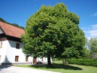 0001-2014-06-DT-Zunanjost.jpg