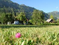 0010-2014-06-DT-Zunanjost.jpg